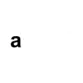 Affiliation Logo 1
