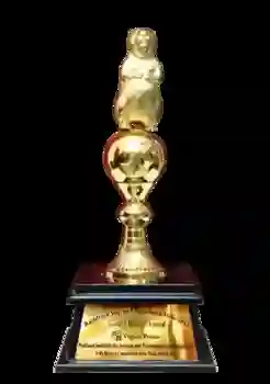 Best Nursing & Tech Academy